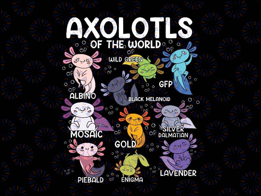 Axolotl Kawaii Axolotls of the World Axolotl Animals Svg, Baby Axolotl Svg, Back To School Png, digital download