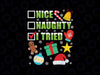 Nice Naughty I Tried Svg, Funny Christmas List Xmas San-ta Cl-aus Svg, Christmas Png, Digital Download