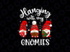 PNG ONLY Hanging With My Gnomies Png, Funny Gnome Friend Christmas Png, Christmas Png, Digital Download