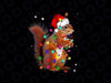 PNG ONLY Squirrel Christmas Hat Santa Light Png, Squirrels Lover Xmas Png, Christmas Png, Digital Download