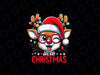 PNG ONLY Matching Family Christmas 2023 Funny Rudolph Reindeer Png, Reindeer Christmas Santa Hat Png, Christmas Png, Digital Download