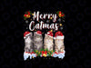 PNG ONLY Cat Santa Christmas Family Matching Merry Catmas Png, Cat Santa Hat Cute Png,  Christmas Png, Digital Download