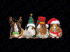 Merry Pigmas Christmas Guinea Pig Png, Funny Guinea Pig Png, Christmas Farm Animal Png, Christmas Png, Digital Download