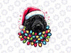 PNG ONLY Black Labradoodle Christmas Tree Xmas Lights Doodle Dog Png, Christmas Lights Dog Png, Christmas Png, Digital Download