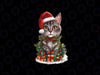PNG ONLY Cat Lovers Christmas Kitten in Santa Hat Png, Christmas Cat Tree Png, Christmas Png, Digital Download