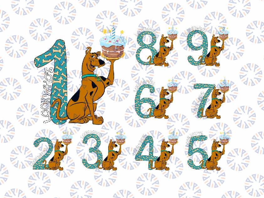 Bundle Birthday Scooby Doo Birthday Svg, Birthday Dog Scooby Svg, Birthday Bundle Age Png Svg, Instant Download