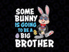 Somebunny Is Going To Be A Big Brother Png, Easter Pregnancy Bunny Boys Png, Easter Day Png, Digital Download