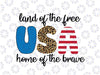 4th of July png, Leopard Print, Fourth of July png, America png, USA png, Digital Download, Printable, Instant Download, USA sublimation