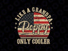 Poppy Like a Grandpa Only Cooler Svg, Poppy Dad America Flag Svg, Father's Day Png, Digital Download