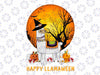 Happy Llamaween LLama Png, Funny Halloween Skeleton Png, Halloween Png, Llama Clip Art, Halloween Shirt Png, Witch Llama Png, Halloween Girl Png