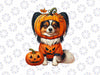 PNG ONLY Papillon Cosplay Horror Carved Png, Dog Pumpkin Halloween Owner Png, Halloween Png, Digital Download