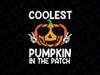 Coolest Pumpkin In The Patch Svg, Funny Pumpkin Smile Halloween Svg, Happy Halloween Png, Digital Download