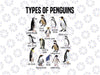 Penguin Lover Png, Penguins Of The World Png, Types Of Penguins Png, Digital Download