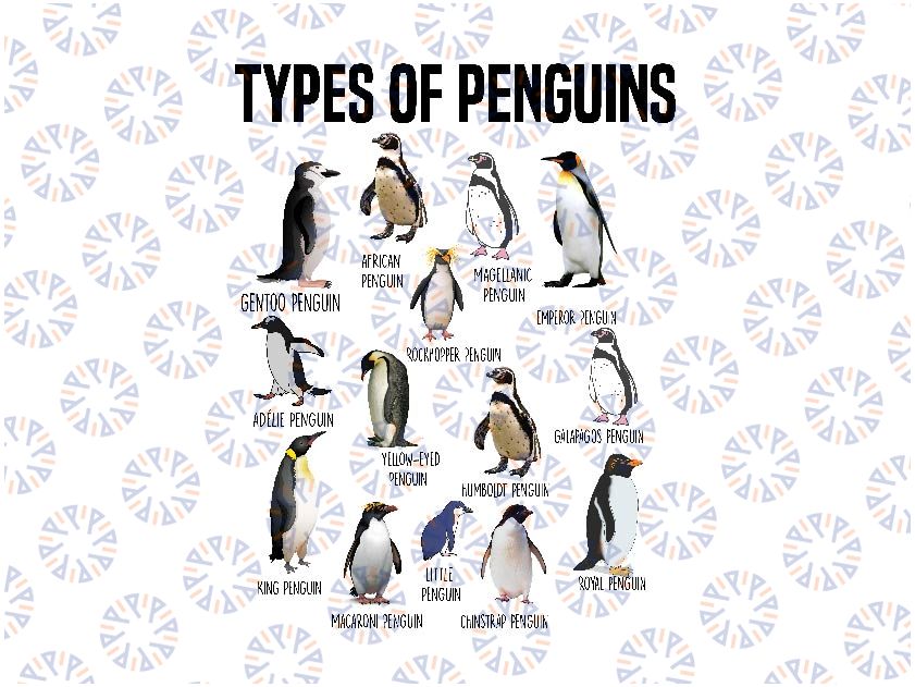 Penguin Lover Png, Penguins Of The World Png, Types Of Penguins Png, Digital Download