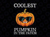 Coolest Pumpkin In The Patch Kids Boys Girls Halloween Png, Coolest Pumpkin Png, Happy Halloween Png, Digital Download