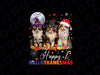 PNG ONLY - Cat Halloween Christmas Happy Hallothanksmas Thanksgiving Png, Christmas Cats Png, Happy Halloween Png, Digital Download