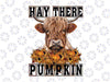 Hay There Pumkin Highland Cow Fall Autumn Thanksgiving Png, Highland Cow Pumpkin Png, Happy Halloween Png, Digital Download