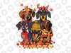 Autumn Tree Dachshund Thanksgiving Pumpkin Dog Fall Leaf Png, Spooky Season Dachshund Pumpkin Png, Happy Halloween Png, Digital Download