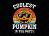 Coolest Pumpkin In The Patch Svg,Pumpkin Boy Svg, Spooky Season Png, Pumpkin Spice Sublimation Design, Instant Download