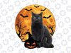 Black Cat Halloween Pumpkin With The Moon Png, Cat and Pumpkin Png, Happy Halloween Png, Digital Download