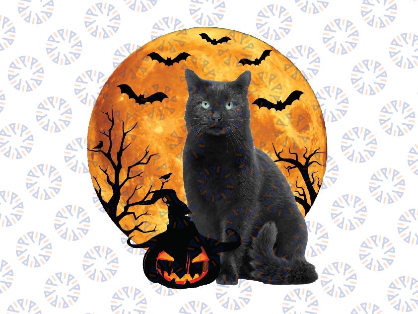 Black Cat Halloween Pumpkin With The Moon Png, Cat and Pumpkin Png, Happy Halloween Png, Digital Download