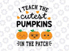 I Teach The Cutest Pumpkins In The Patch Halloween Svg, Halloween Teacher Pumpkins Svg, Happy Halloween Png, Digital Download