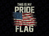 This Is My Pride Flag USA American 4th of July Patriotic Png,  American Flag Png, Independence day, Digital Download