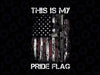 This Is My Pride Flag Gun American 4th of July 2023 Png, 4th of July Patriotic American Flag Png, Independence day, Digital Download