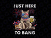 Just Here To Bang USA Flag Funny Beer 4th Of July Cat Lover Png, 4th of July Cute Cat Drink Beer Png, Digital Download