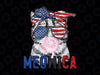 Patriotic Cat Meowica Bubblegum 4th of July Funny Cat Lover Png, 4th Of July Cat Png, Independence day Png, Digital Download