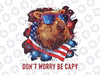 Don't Worry Be Capy Capybara Png, Capybara American Flag Png, Independence day Png, Digital Download