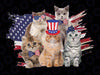 Funny Cat Patriotic USA Cat Lovers Cat Moms 4th July Png, 4th July American ACt Flag USA Png, Digital Download