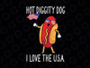 4th July Hot Diggity Dog USA Flag Funny Hotdog Svg, Hot Diggity Dog America Flag Svg, Independence Day Png, Digital Download