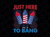 Funny Fourth of July 4th of July American Flag Png, Just Here To Bang Fireworks Png, Independence Day Png, Digital Download