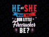 He or She What Will Our Little Firecracker Be Gender Reveal Png, Firecracker Gender Png, Independence Day Png, Digital Download