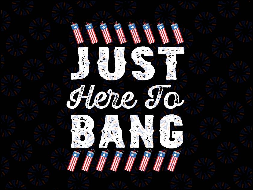 Funny I'm Just Here To Bang 4th July American Flag Fireworks Svg, Director I Run You Fireworks Svg, Independence Day Png, Digital Download