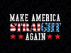 Make America Straight Again MASA Svg, Vintage America Svg, Independence Day Png, Digital Download