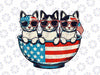 PNG ONLY Assistant Fireworks Director 4th Of July Png, Patriotic Cat America Flag Png, Independence Day Png, Digital Download