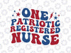 One Patriotic Registered Nurse Svg, 4th of July Healthcare Nursing Nurse RN Png Svg, Independence Day Png, Digital Download