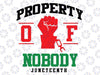 Property Of Nobody Juneteenth Svg, Celebrate Black History Svg, Black Power Svg, Black woman Gifts Svg, Png Digital Download