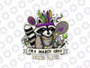 PNG ONLY I’m a Mardi Gras Tennis Player Png, A Raccoon Holding A Racket Png, Mardi Gras Png, Digital Download