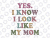 Yes I Know I look Like My Mom Svg, I Love Mom Svg, Mother's Day Png, Digital Download