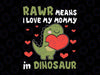Rawr Means I Love My Mommy Mother's Day Svg, Dinosaurus Mom Lover Svg, Mother's Day Png, Digital Download