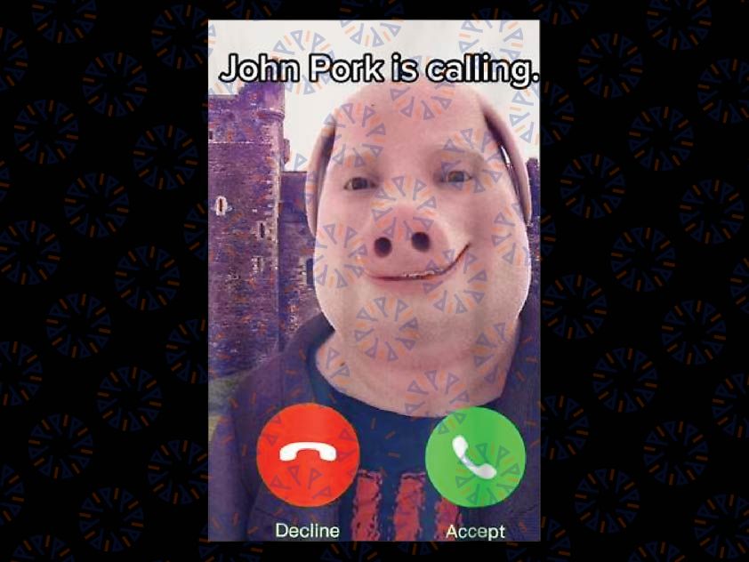 John Pork Is Calling Funny Answer Call Phone Png, John Pork Tapestry Png, John pork meme wall hanging tapestry