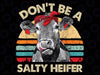 Don't Be A Salty Heifer Cows Lover Vintage Farm Png, Sassy Cow Png, Funny Crazy Heifer Cow Lover Png, Mothers Day Png, Digital Download