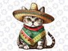 Funny Cinco De Mayo Cute Mexican Cat Png, Funny Cats Cinco De Mayo Png, Cute Cat Lover Png, Mothers day Png, digital Download