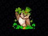 PNG ONLY Owl Holding Irish Shamrock Stars Png, St Patrick's Day Animal Png, Digital Download