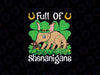 PNG ONLY Full Of Shenanigans Leprechaun Aardvark St. Patrick's Day PNG, Sublimation Design Digital Download