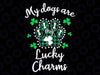 My Dogs Are My Lucky Charms Png, Shamrock Dogs Paw St Patricks Day Png, Digital Download