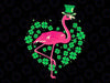 St Patricks Day Irish Flamingo Svg, Leprechaun Flamingo Lover Svg, Patrick's Day Png, Digital Download